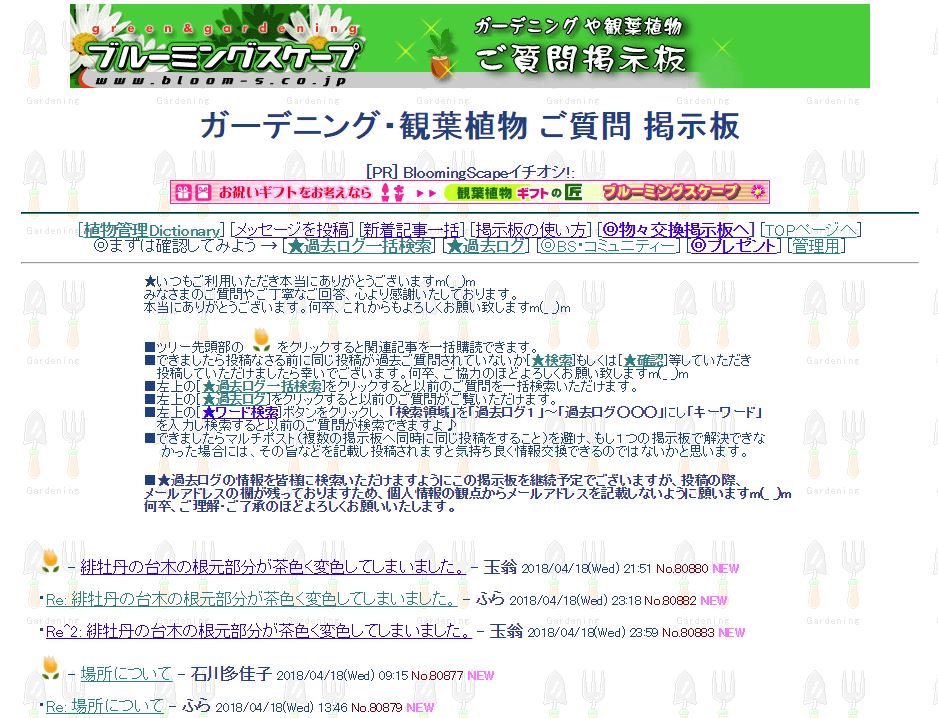 観葉植物の育て方