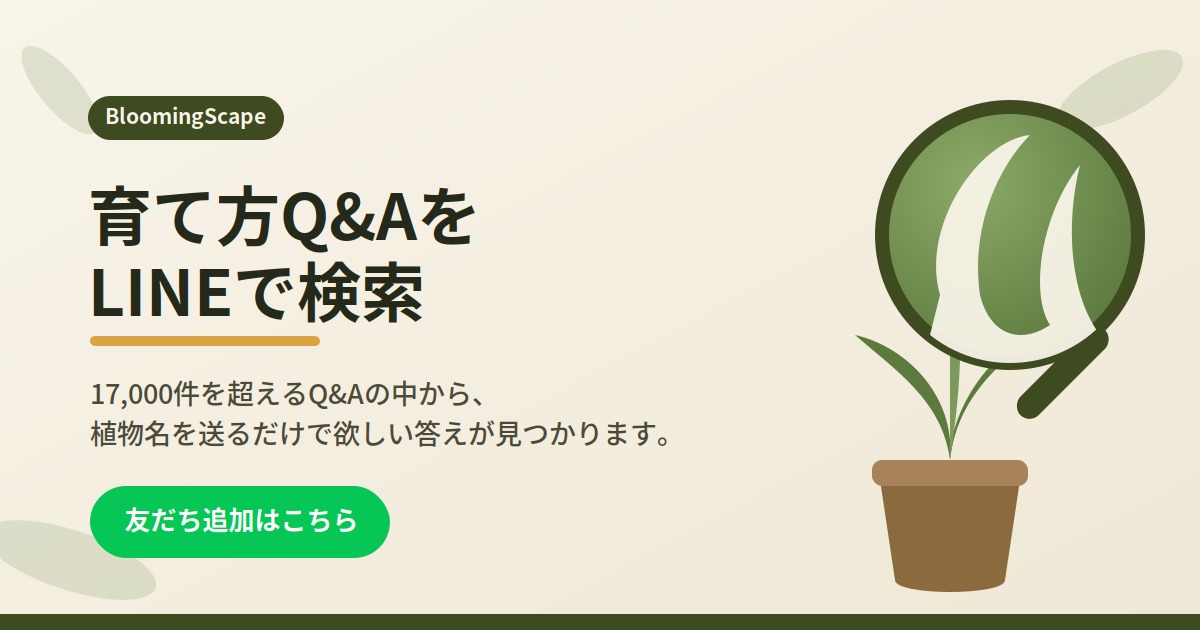 ��ĕ�Q&A��LINE�Ō���