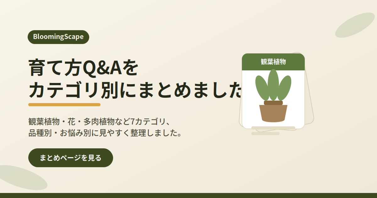 育て方Q&Aのまとめページ