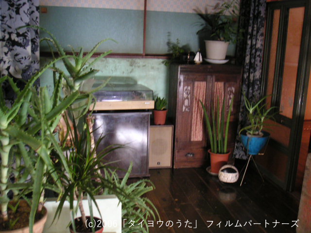 タイヨウのうた