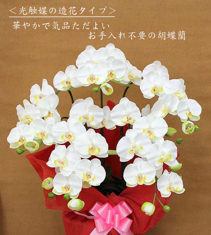 光触媒の人工観葉植物タイプの胡蝶蘭