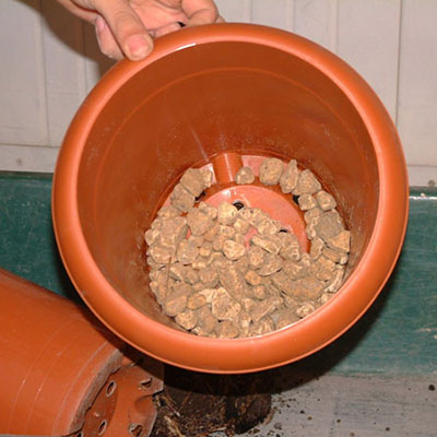 プラスチック鉢の植え替え方法