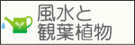 風水と観葉植物