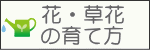 花・草花の育て方