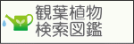 観葉植物 検索図鑑