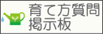 育て方 掲示板