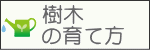 樹木の育て方