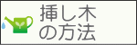 挿し木の方法
