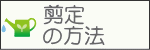 剪定の方法