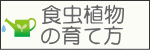食虫植物の育て方