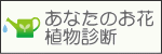 あなたのお花 植物診断