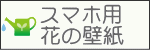 スマホ用の花の壁紙