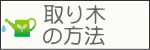 取り木の方法