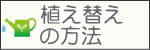 植え替えの方法