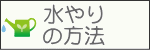 水やりの方法