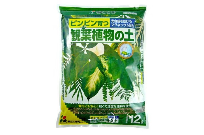 観葉植物の植え替え用土