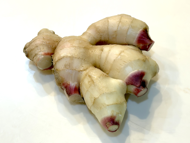 �W���W���[(ginger)