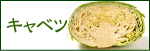 �L���x�c