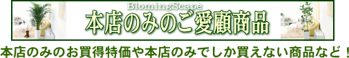 本店のみのご愛顧商品