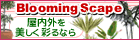 観葉植物&ガーデニング
