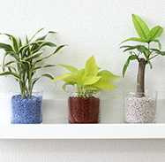 �n�C�h���J���`���[