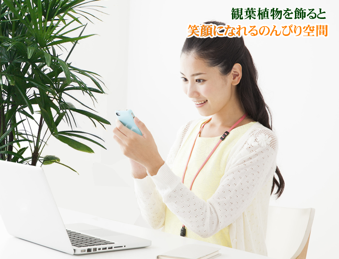 �ϗt�A���M�t�g