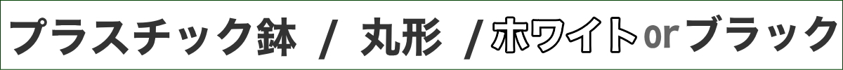 サンスベリア 5号 丸形セラアート