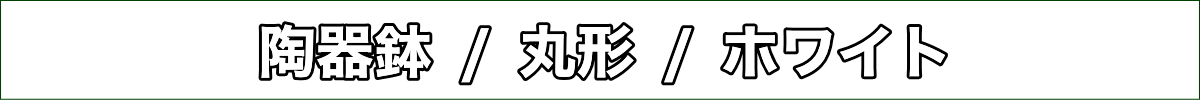 サンスベリア 5号 丸形 陶器鉢