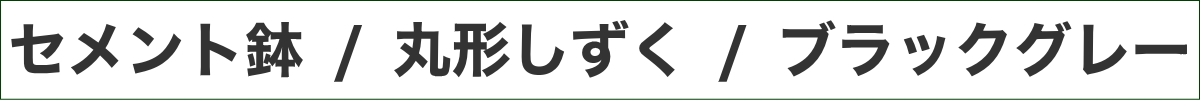 サンスベリア 5号 セメント鉢 しずく形