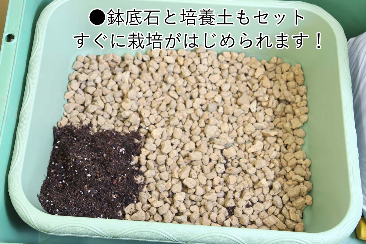 こだわり家庭菜園 栽培キット