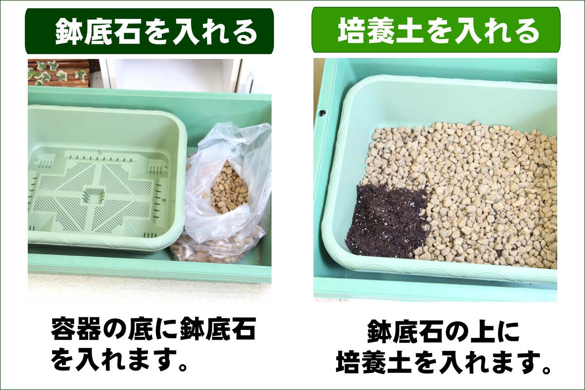 こだわり家庭菜園 栽培キット