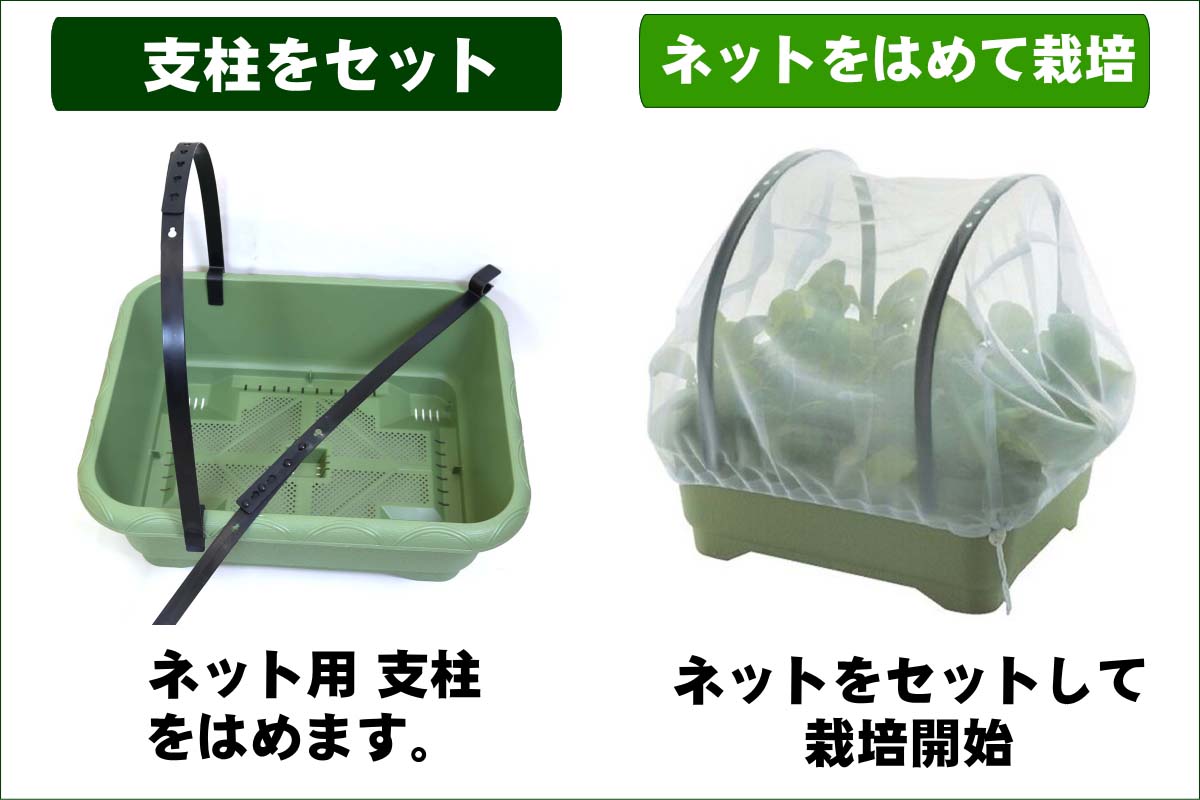 こだわり家庭菜園 栽培キット