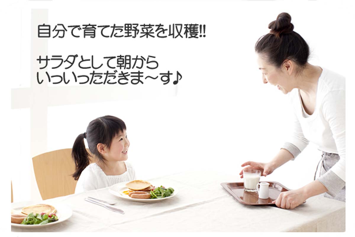 こだわり家庭菜園 栽培キット