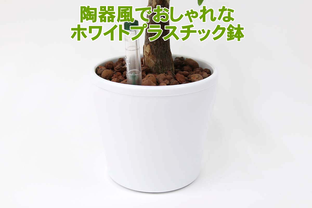 陶器風のプラスチック鉢