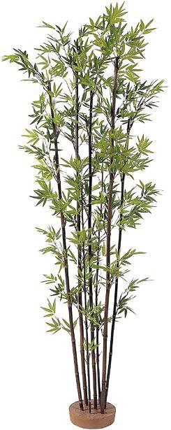 ブルーミングスケープ 黒竹 7本立 鉢なし 1 8m 人工 観葉植物 通販 販売