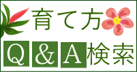 育て方Ｑ＆Ａ検索