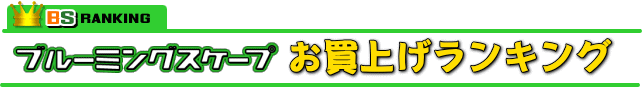 人気観葉植物のお買い上げランキング