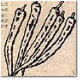 伏見甘長とうがらし