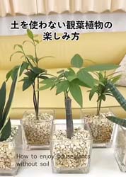 ブルーミングスケープの動画が受賞