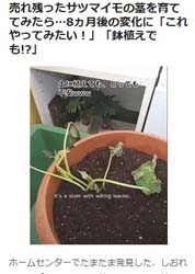 オリコンニュース