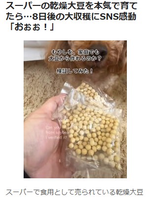 オリコンニュース