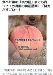 オリコンニュース