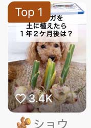 オリコンニュース