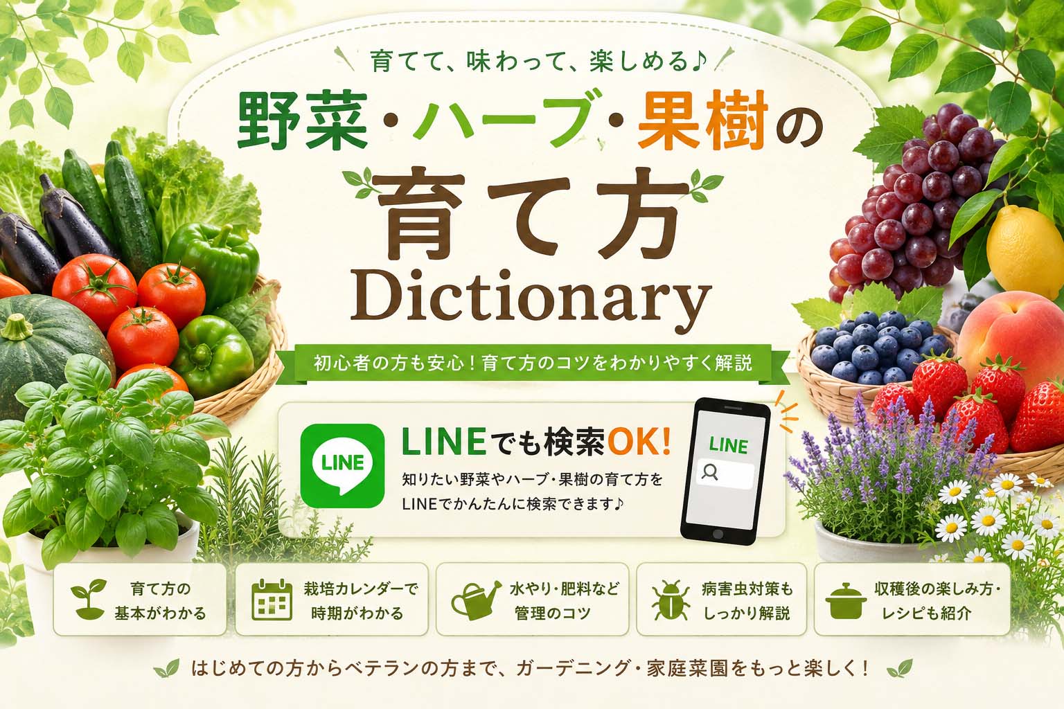 ��؁E�n�[�u�E�ʎ��̈�ĕ�Dictionary