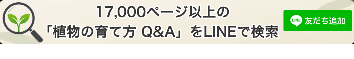 17,000�y�[�W�ȏ�̐A��Q&A��LINE�Ō����ł���I �F�����ǉ� / ����