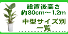 ^̊ϗtAi80`1.2cmj