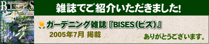 雑誌でご紹介いただきました！