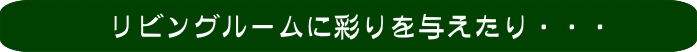 リビングルームにちょっと彩りを与えたり・・・