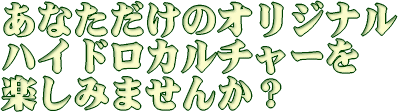 あなただけのオリジナル ハイドロカルチャーを楽しみませんか？