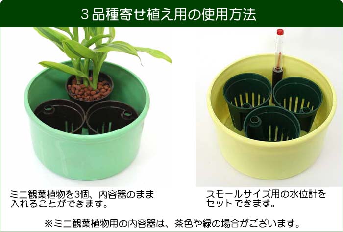 寄せ植え方法